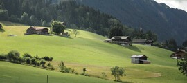 Кан - Мюнхен: наем на частен самолет