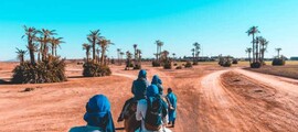 Рабат: частен самолет под наем 