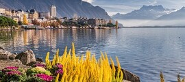 Женева - Ибиса : наем на частен самолет