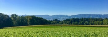 france : location de jet privé