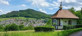 Flensburg Schaferhaus: частен самолет под наем 