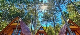 Франкфурт Хаан: частен самолет под наем 