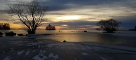 Фалкопинг : наем на частен самолет