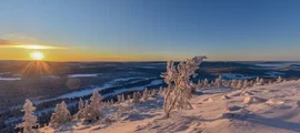 Оребро : частен самолет под наем
