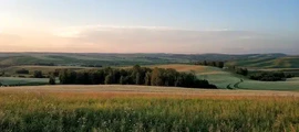 Брянск : частен самолет под наем