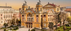 Тимишоара Traian Vuia : частен самолет под наем 