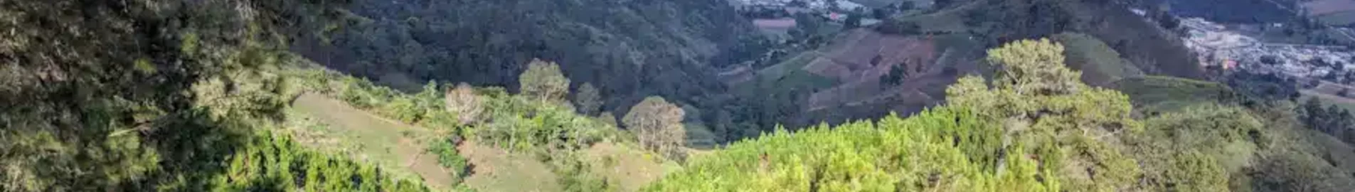 Констанца : частен самолет под наем