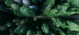 Карлскога : частен самолет под наем