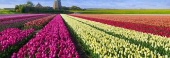 hoogeven: location de jet privé