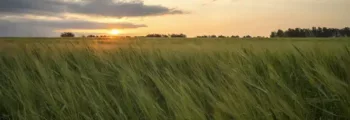 Kemerovo : location de jet privé