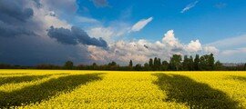 Чернобаевка : наем на частен самолет