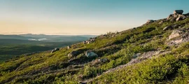 Упсала : частен самолет под наем
