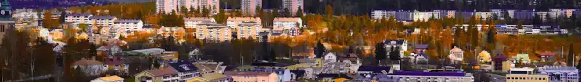 Ornskoldsvik : частен самолет под наем
