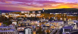 Стокхолм Skavsta : частен самолет под наем