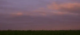 Чернобаевка : наем на частен самолет