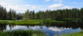 Кеми Кеми Торнио: частен самолет под наем 
