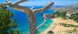 Каламата : частен самолет под наем 