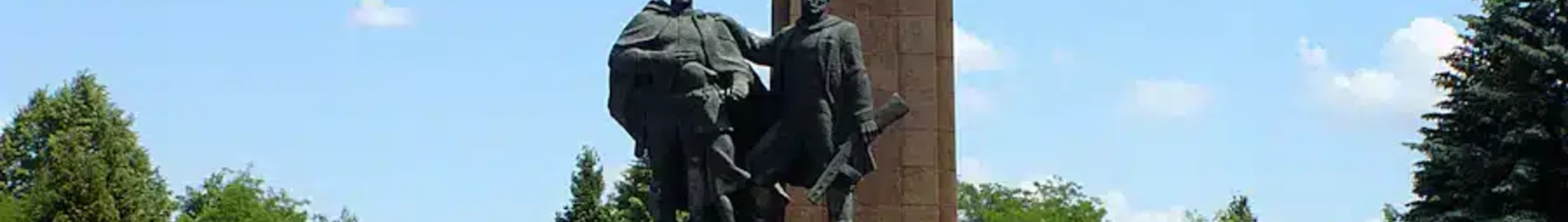 Ривне : частен самолет под наем
