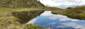 lanveoc : location de jet privé