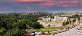 Констанца Михаил Когалничану: частен самолет под наем 