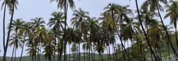Zhuliany : location de jet privé