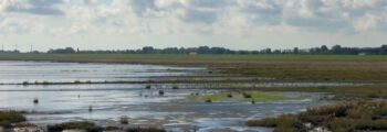 Wilhelmshaven Mariensiel : location de jet privé