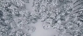 Днепропетровск : частен самолет под наем