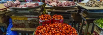 Côte d'Ivoire : location de jet privé