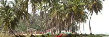 Mbanza Congo Malanje : location de jet privé