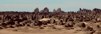 El Borma : location de jet privé