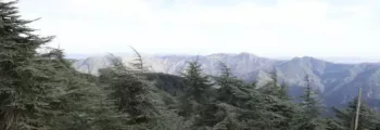 andapa: location de jet privé