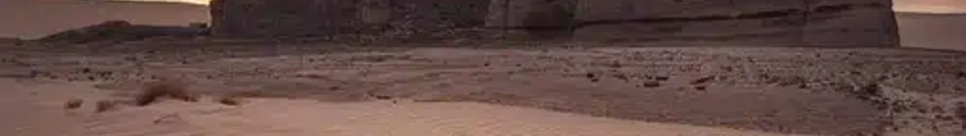 Частен самолет под наем Алжир