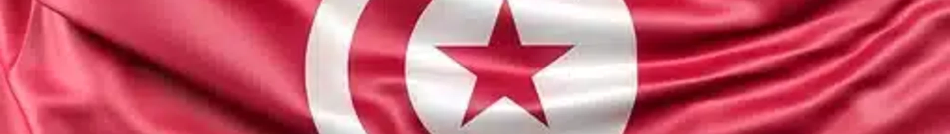 Репатриране в Тунис: процедури, цени и индивидуални решения