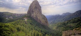 Тенерифе Юг : частен самолет под наем 