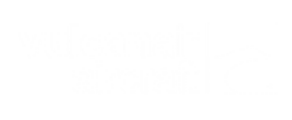 PIAGGIO AVANTI P 180: Наем на частен самолет 