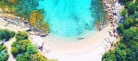 Лас Вегас - Париж: наем на частен самолет