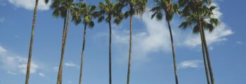 Dubaï - Palma location jet privé