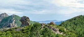 Женева - Истанбул : наем на частен самолет